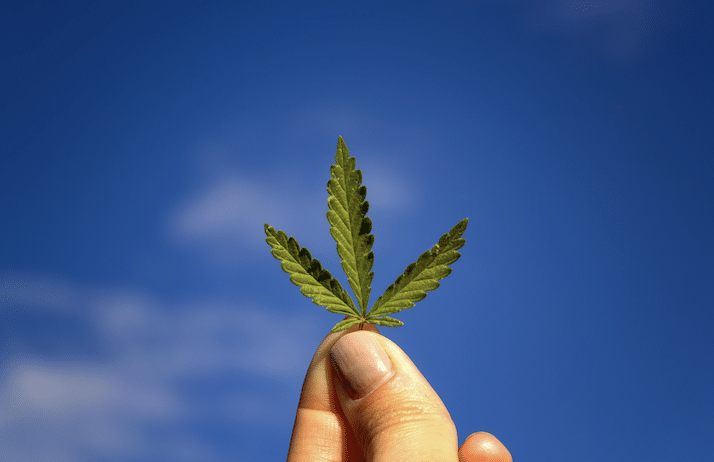 Full Spectrum CBD